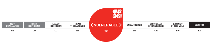 Vulnerable